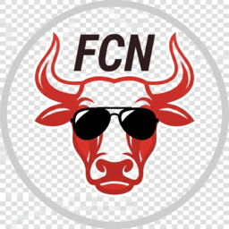 t.fincpanetwork.ru